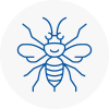 Scunthorpe Hornet Nest Removals